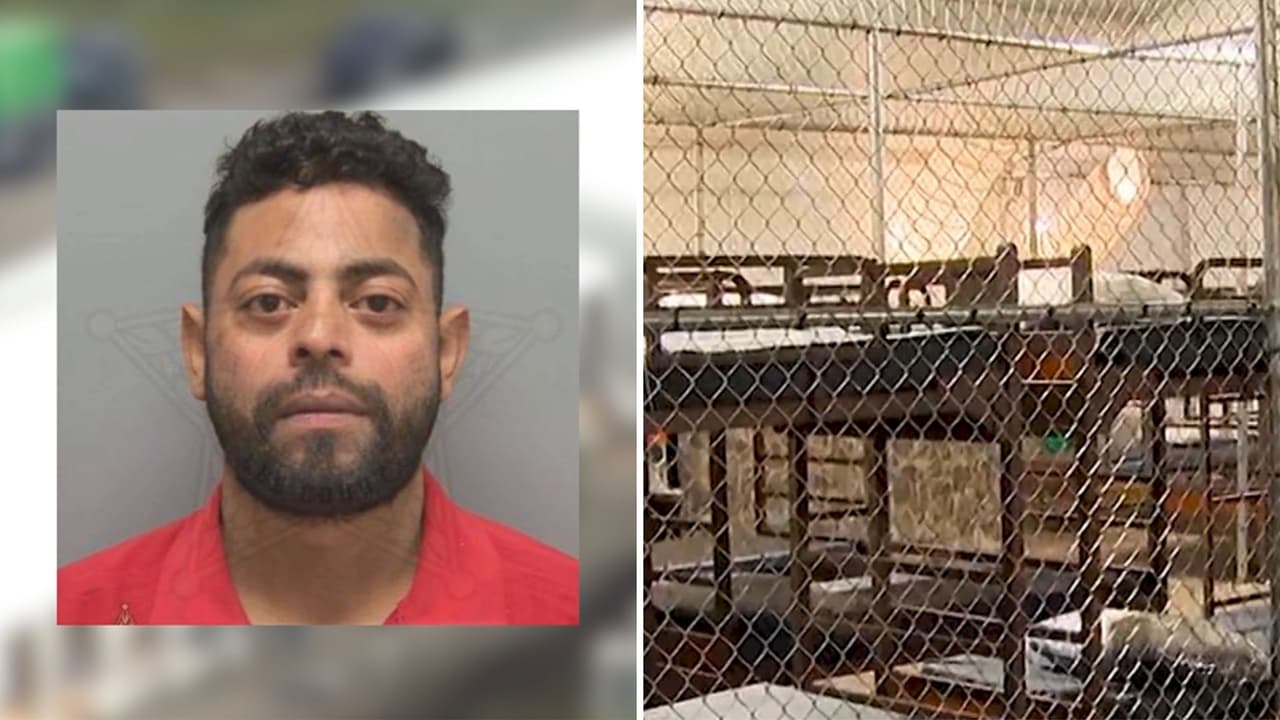 Padre hispano es detenido en Florida por conducir sin licencia y termina en el "Alcatraz de los Caimanes"