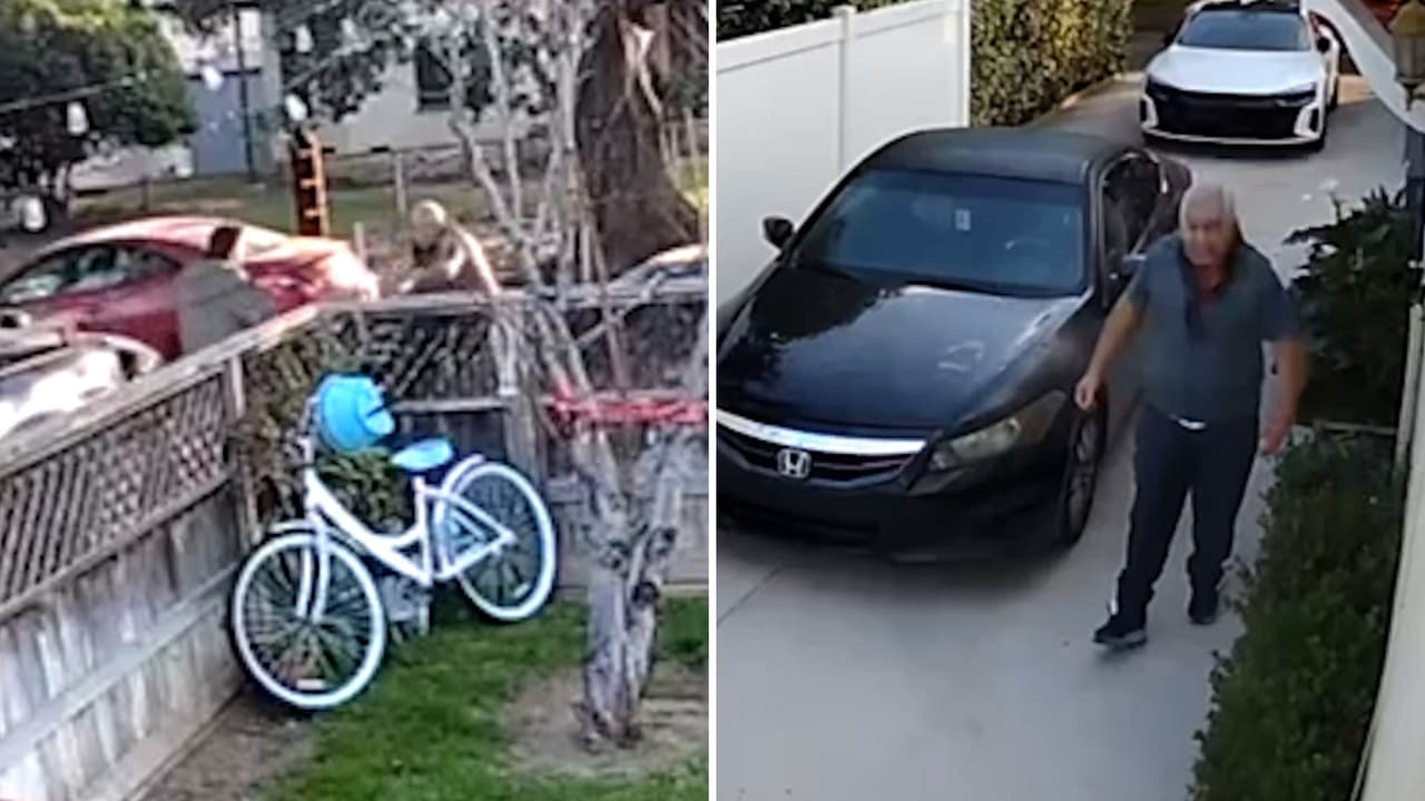 Niña de 10 años y su abuelo apuñalados por vecino con historial de violencia