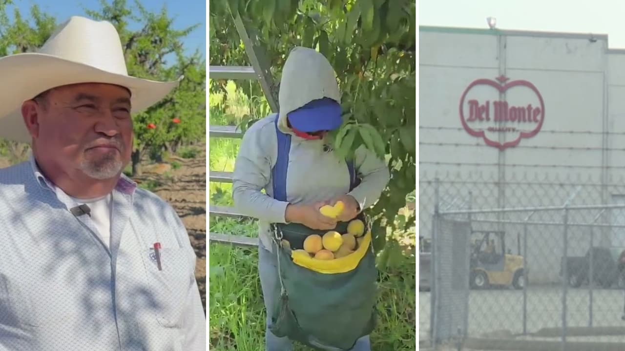 “Confiaron en ellos”: Campesinos y rancheros del Valle Central se quedan sin trabajos tras cierre de Del Monte