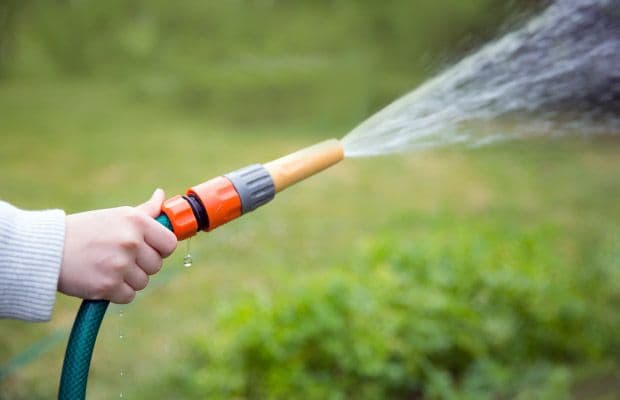 Pese a lluvias por Debby, Tampa mantiene restricciones de agua: ¿Cuánto es la multa?