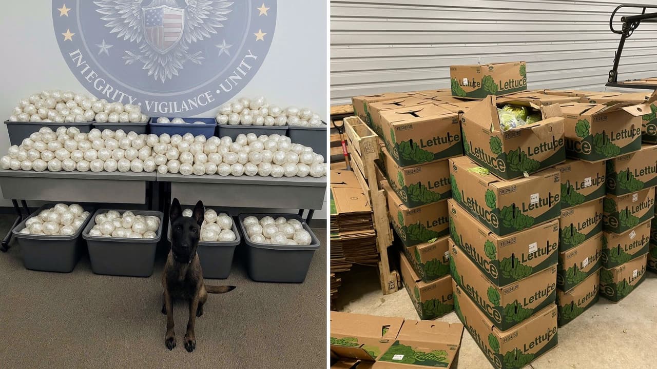 Incautan 555 kilos de metanfetamina escondida en lechuga en San Antonio; hay 2 arrestados