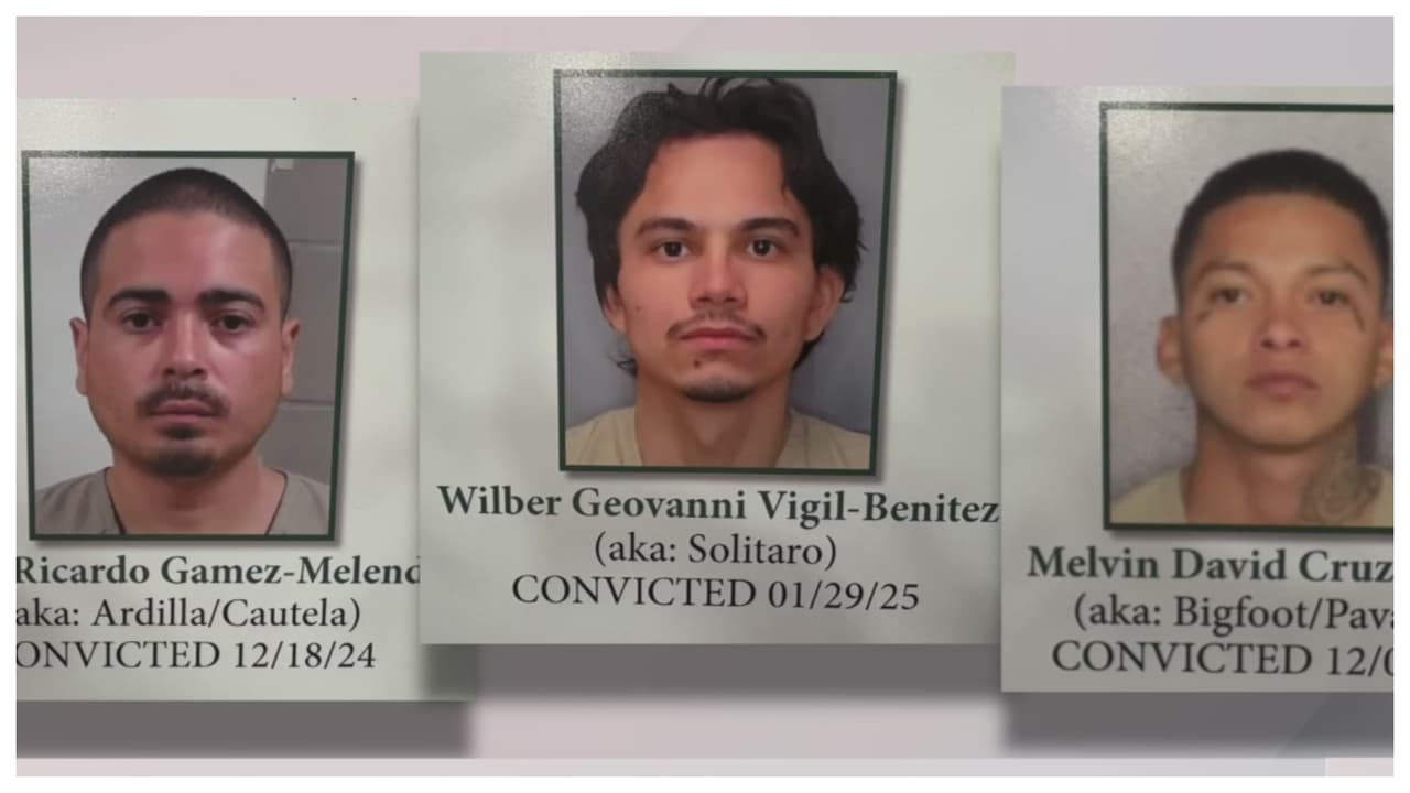 Arrestan en Florida a pandilleros de la Mara Salvatrucha acusados de asesinatos con cuchillos y machetes