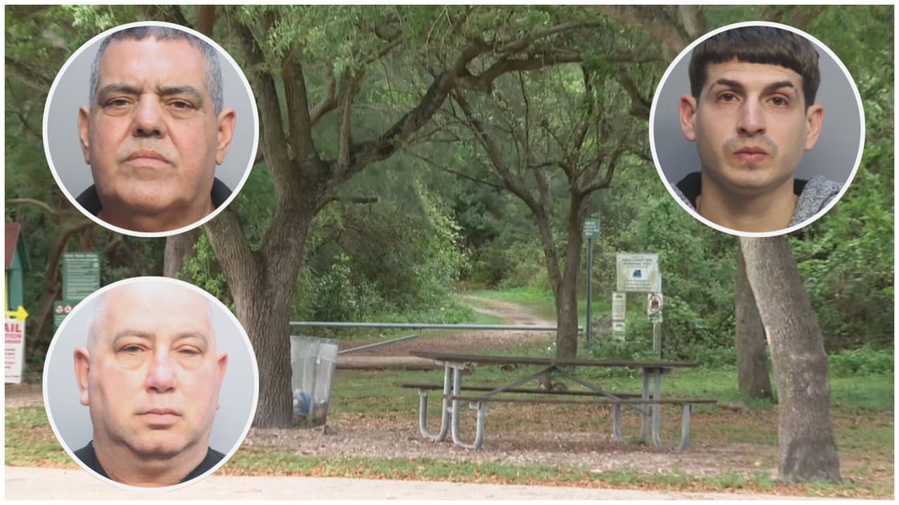 “Asqueroso”: preocupación entre visitantes de parque Amelia Earhart tras arresto de tres hombres