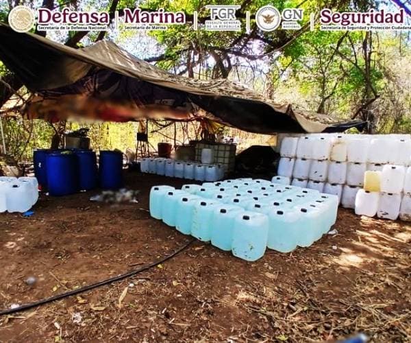 Los galones con precursores químicos hallados en el narcolaboratorio.