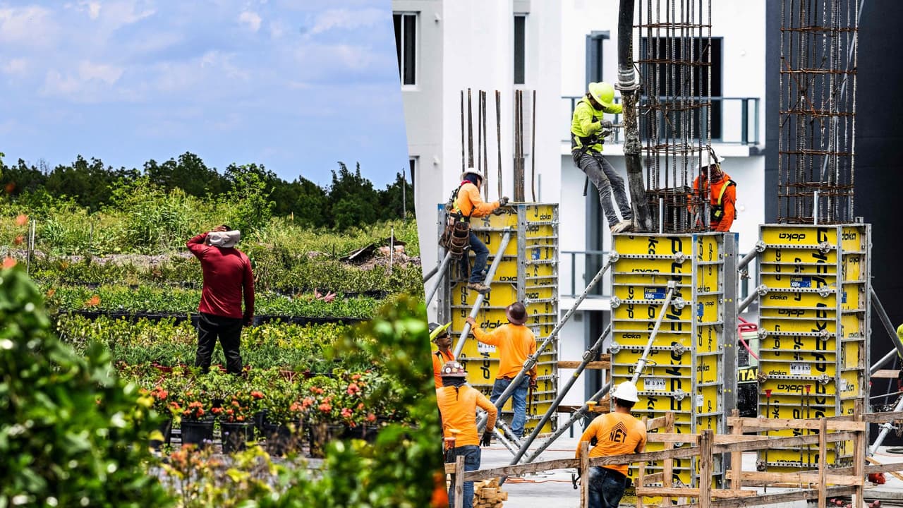 Cuatro gráficos que explican el posible impacto económico de la nueva ley de inmigración en Florida