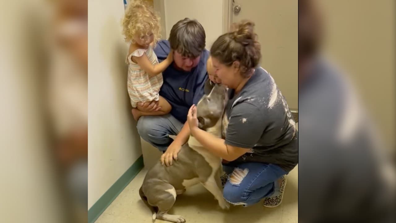 "Es nuestro bebé": Familia se reencuentra con su cachorro desaparecido casi 1 año después