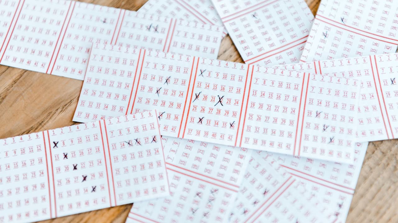 <h3 class="cms-H3-H3">Consejos de sentido común 💰 </h3>
<br>
<br>
<b>Firma</b> el boleto apenas lo compres.
<br>💰
<b>Revisa</b> la fecha límite para cobrar el premio, sin importar la cantidad, en la lotería de tu estado, no todas son iguales.
<br>💰
<b>Antes de reclamar</b>, busca asesoría legal y fiscal.
<br>💰
<b>Averigua</b> si puedes cobrar en anonimato.
<br>💰 Juega con la idea de divertirte,
<b>no como plan de retiro.</b>