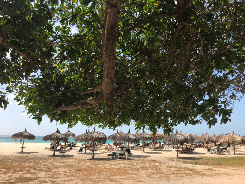 <b>Puesto 2:</b>
<b>Playa Águila (Aruba)</b>
<br>
<br>“El agua es bellamente clara, tranquila y transparente, sin rocas ni algas, la playa se extiende hasta donde alcanza la vista”, se lee en una reseña sobre este paraíso en el Caribe.