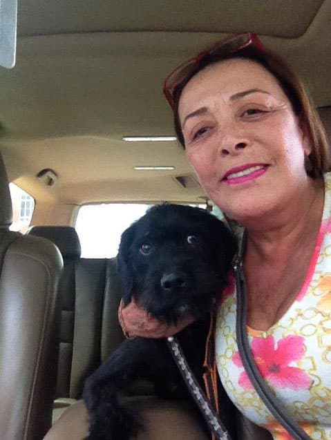 Compartió las características que busca en un compañero: "A mí me gusta un hombre que tenga experiencia, que haya vivido que sea inteligente, culto, caballeroso, amable, detallista, un hombre que esté realizado y feliz", sentenció en 'Sale el sol'.
<br>