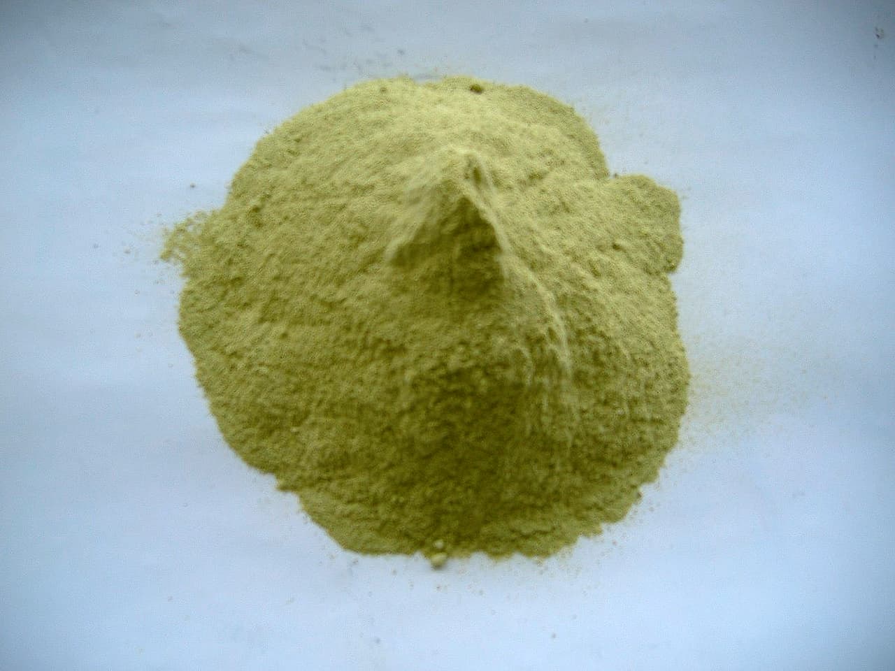 El nopal también es un alimento prebiótico porque genera cambios en la composición de la actividad de la flora intestinal. Deshidratado puede usarse como fármaco.