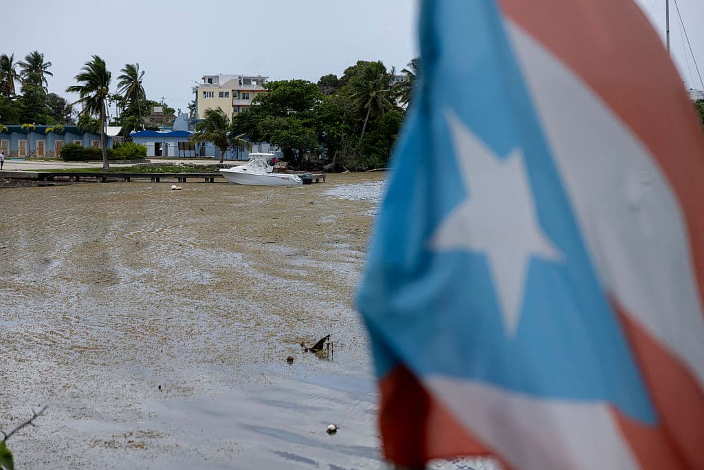 <b>Año récord de sargazo en el Atlántico: </b>En 2025, los científicos reportan un aumento del 40 % en la acumulación de sargazo en el océano Atlántico, superando el récord anterior de 2022. Esta situación marca un nuevo desafío ambiental para la región caribeña.
<br>