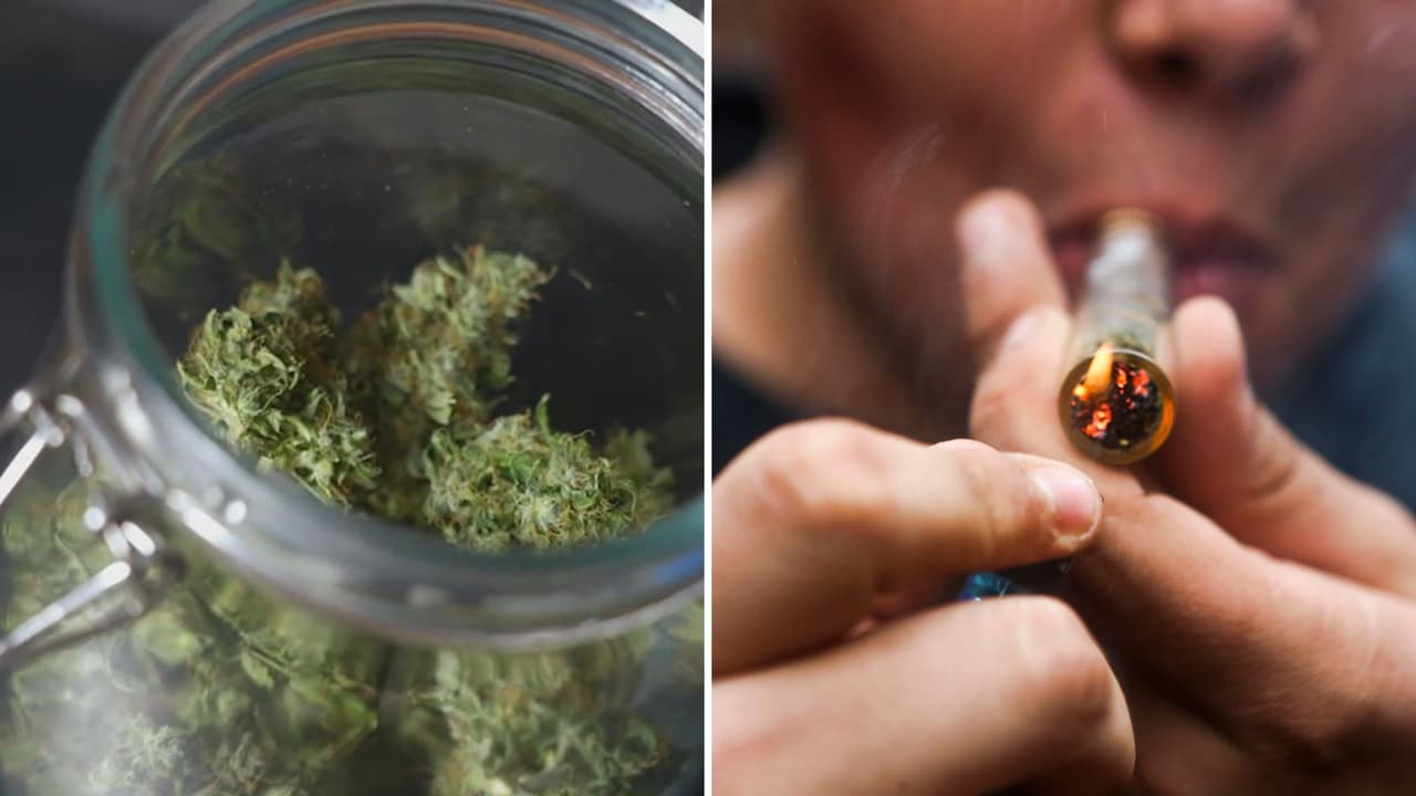 Residentes de Lockhart deciden bajar sanciones por la posesión de la marihuana