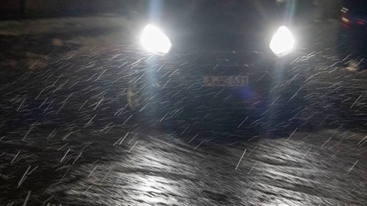 Residentes reportan ráfagas de nieve al norte de la Bahía de Tampa