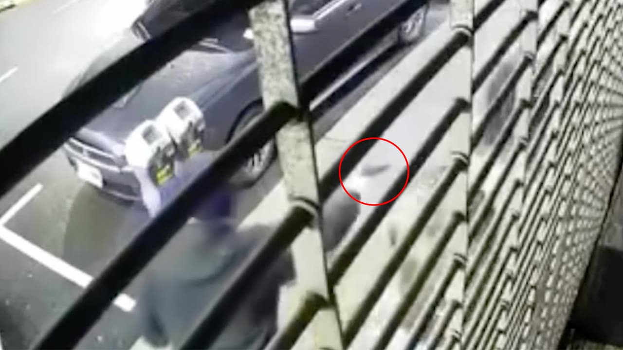 Hombre hispano es asesinado a tiros por la espalda frente a su esposa en Union City