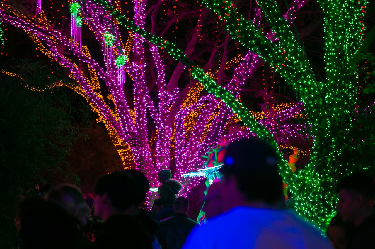 Cada rincón es iluminado para que el público puedan vivir de una experiencia mágica en Houston.