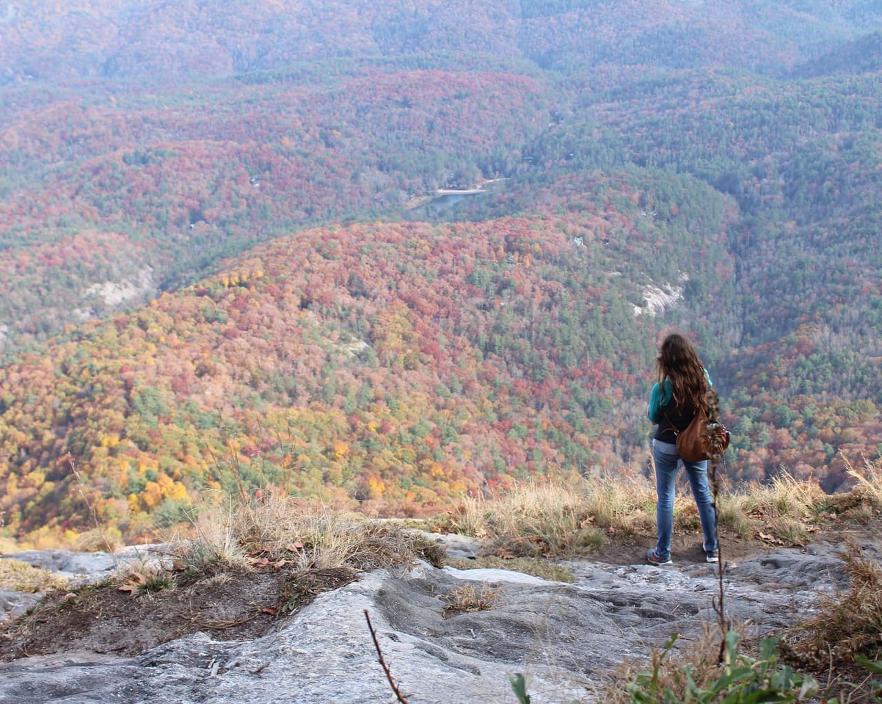Encuentra más destinos e información local,
<a href="https://www.univision.com/local/north-carolina-wuvc/localisimo"><b>aquí</b></a>.