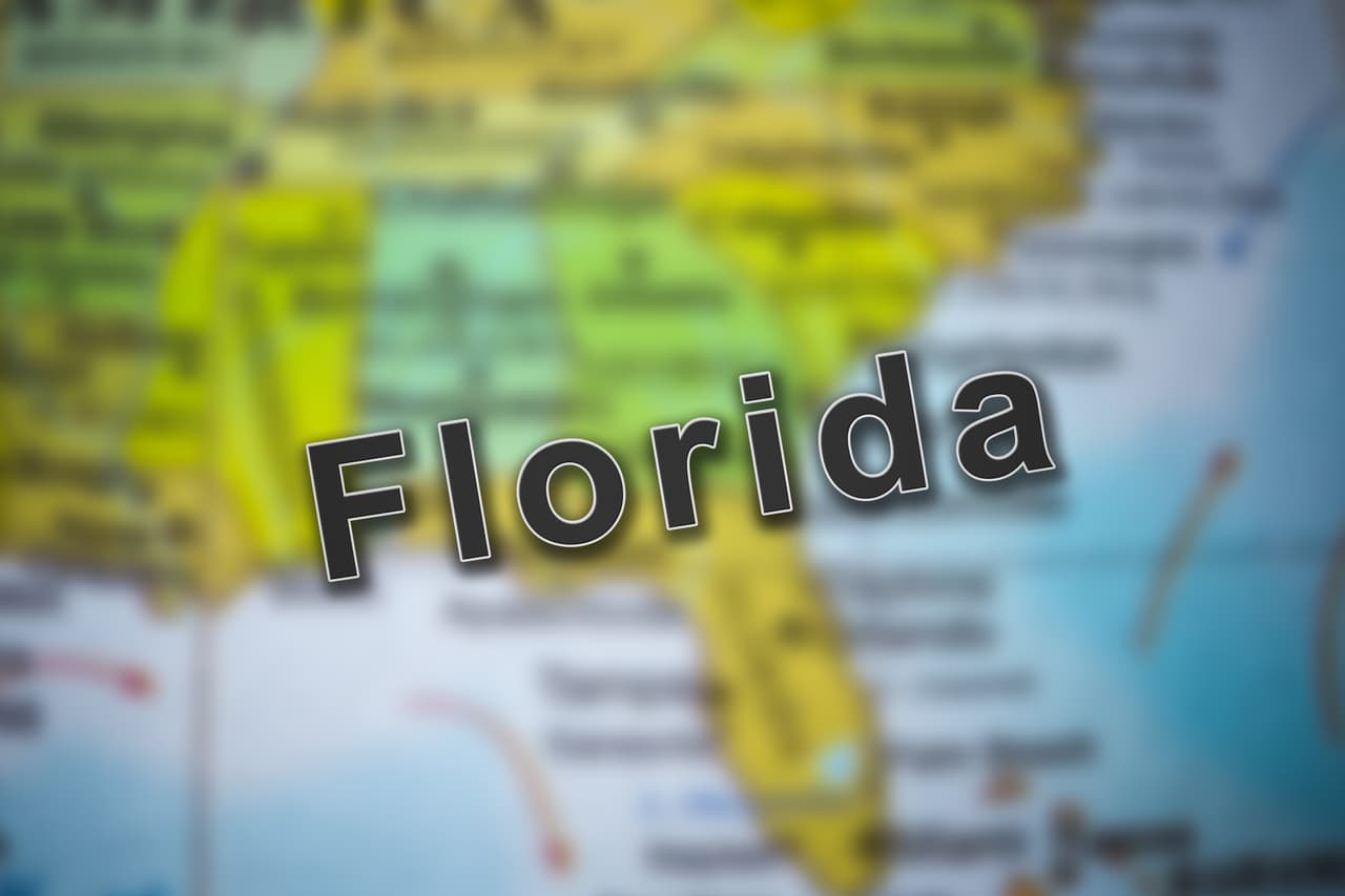 <h3 class="cms-h3-H3"><b>8. Hay zonas en las que las muertes por sofocamiento por alta temperatura pueden ocurrir durante todo el año</b> </h3>
<br>Texas es el estado con mayor incidencia con 117 muertes por sofocamiento dentro de automóviles calientes de 1998. Florida, Arizona, Nuevo México, California y Nevada también son estados donde el peligro está presente todo el año.
<br>