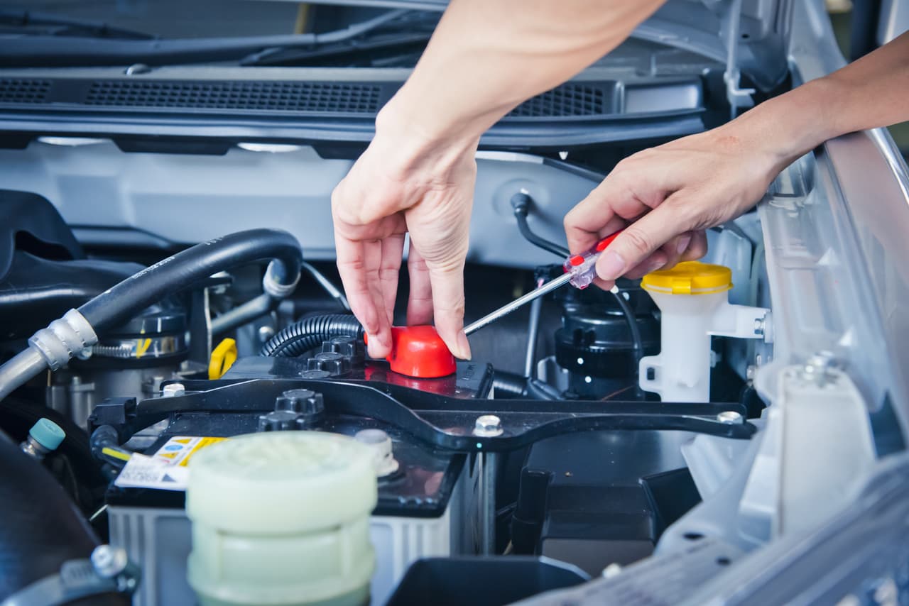 Limpie cualquier sucio que puedan tener los bornes y las conexiones de los cables.