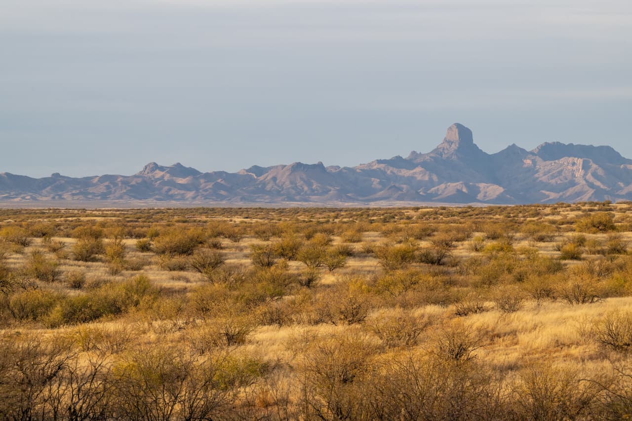 "
<b>Esto sí es una verdadera pesadilla para mí</b>", admitió una mujer ya afectada por las devastadores condiciones del desierto, sin suficiente agua, sola y, recordemos, embarazada.