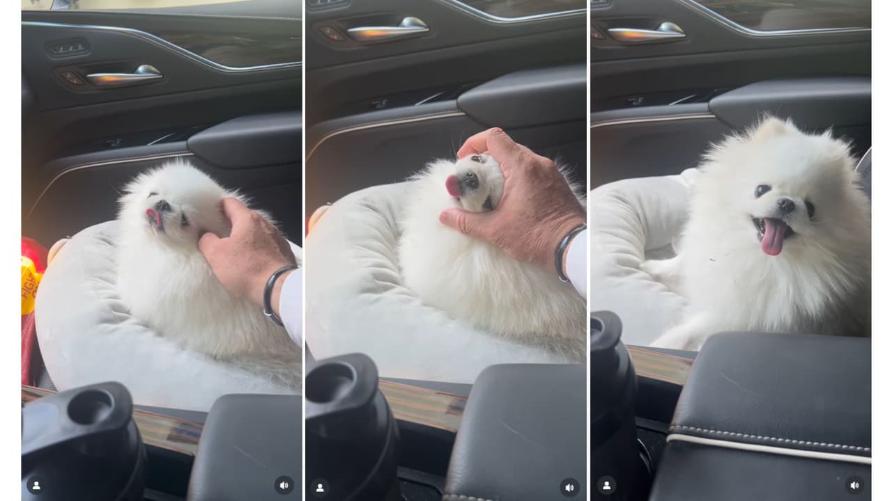 El presentador en compañía de su mascota.