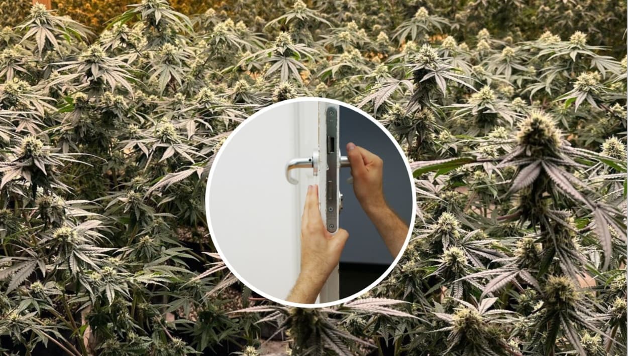 Mujer regresa a su casa después de un año: esto fue lo que descubrió