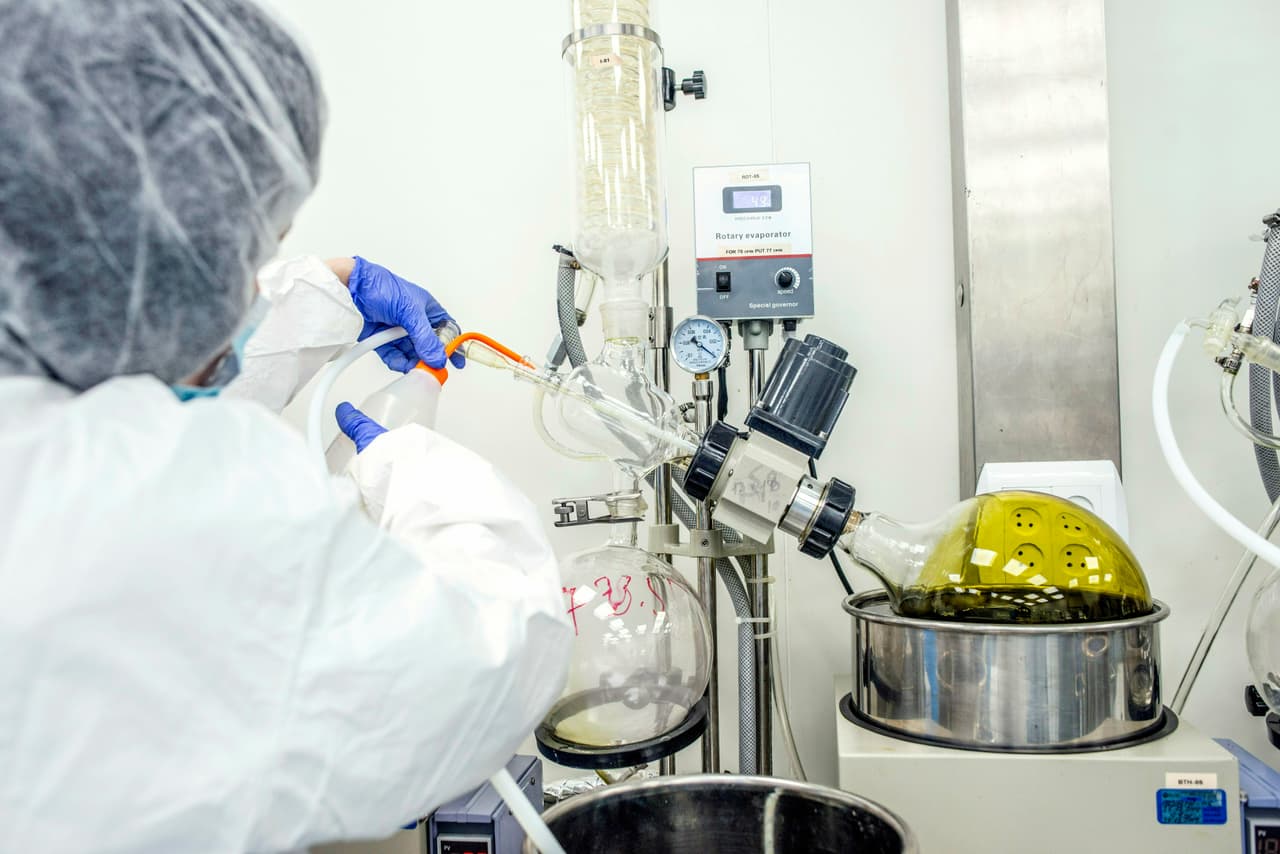 Estas son las universidades a nivel nacional donde puedes convertirte en un profesional de la marihuana.