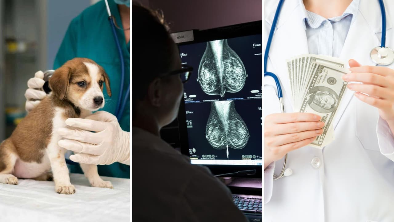 Nuevas leyes en Florida desde enero de 2026: lo que debes saber