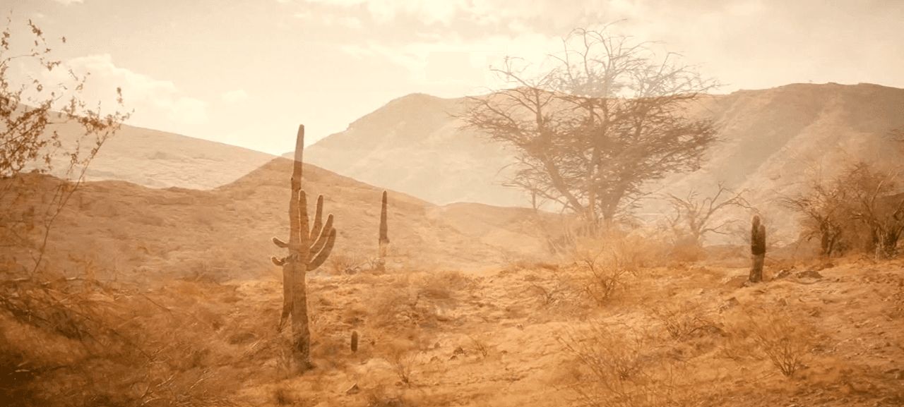 Fue a principios de este año cuando
<b>Aguida Vásquez, una joven guatemalteca de 24 años</b>, tomó una de las decisiones más duras: dejar su natal Concepción Tutuapa, con todo y su embarazo de alrededor de cuatro meses, y se dirigió a la frontera.