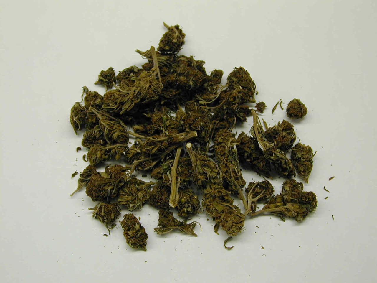 <h3 class="cms-H3-H3">Marihuana</h3>
<br>
<br>Esta droga es una mezcla gris-verdosa de hojas y flores secas trituradas del cannabis sativa, la planta del cáñamo.
<br>
<br>Muchas personas
<a href="https://www.drugabuse.gov/es/publicaciones/serie-de-reportes/la-marihuana/que-es-la-marihuana" target="_blank">optan por fumar esta droga en cigarros armados a los que llaman porros</a>, en pipas o directamente reemplanzando -parte o todo- el tabaco de los cigarros. Además, también se puede usar para alimentos como brownies, galletas o dulces, de acuerdo con el NIH.
<br>
<br>La agencia precisa que esta sustancia también se puede usar para preparar té, especialmente cuando se vende o consume con fines medicinales.
<br>
<br>Algunos efectos en la salud de los consumidores, a corto plazo,
<b>pueden ser somnolencia, retraso en el tiempo de reacción, problemas de coordinación y equilibrio, aumento de la frecuencia cardíaca</b> y problemas de aprendizaje y memoria.
<br>
<br>A largo plazo pueden presentarse problemas de salud mental, tos crónica e infecciones respiratorias frecuentes.
<br>
<br>El consumo durante el embarazo podría generarle a los bebés recién nacidos problemas de atención, de memoria y disminuir la capacidad para resolver problemas.
<br>
<br>Hasta el momento, la FDA no ha aprobado ningún medicamento para tratar la adicción de esta droga.
<br>