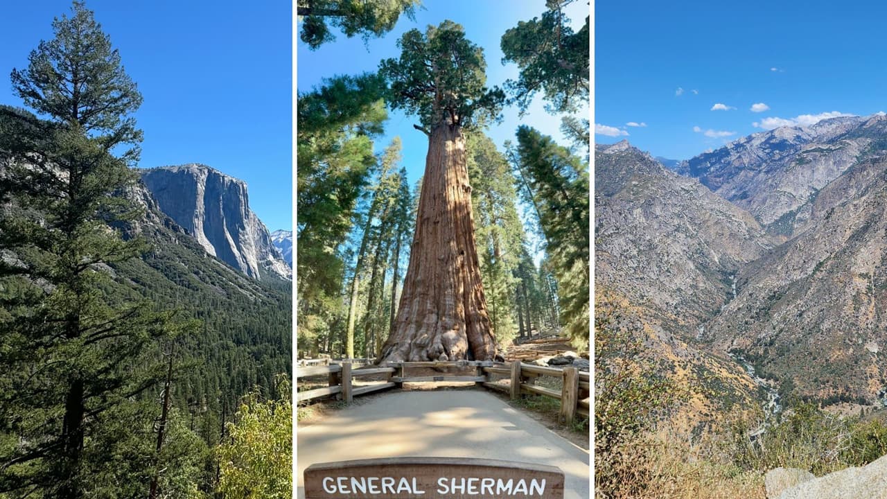 Tesoros naturales: las tres maravillas que encierra el corazón de California