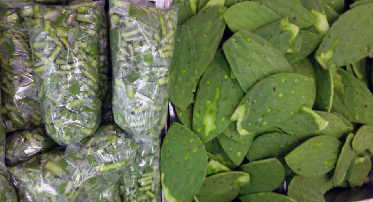 Su poder nutritivo ha sido aprovechado por investigadores de la Universidad Autónoma Chapingo, México, quienes crearon aperitivos a partir de una variedad específica de nopal que podrían beneficiar el tracto digestivo de las personas con úlcera y controlar los niveles de colesterol y triglicéridos.