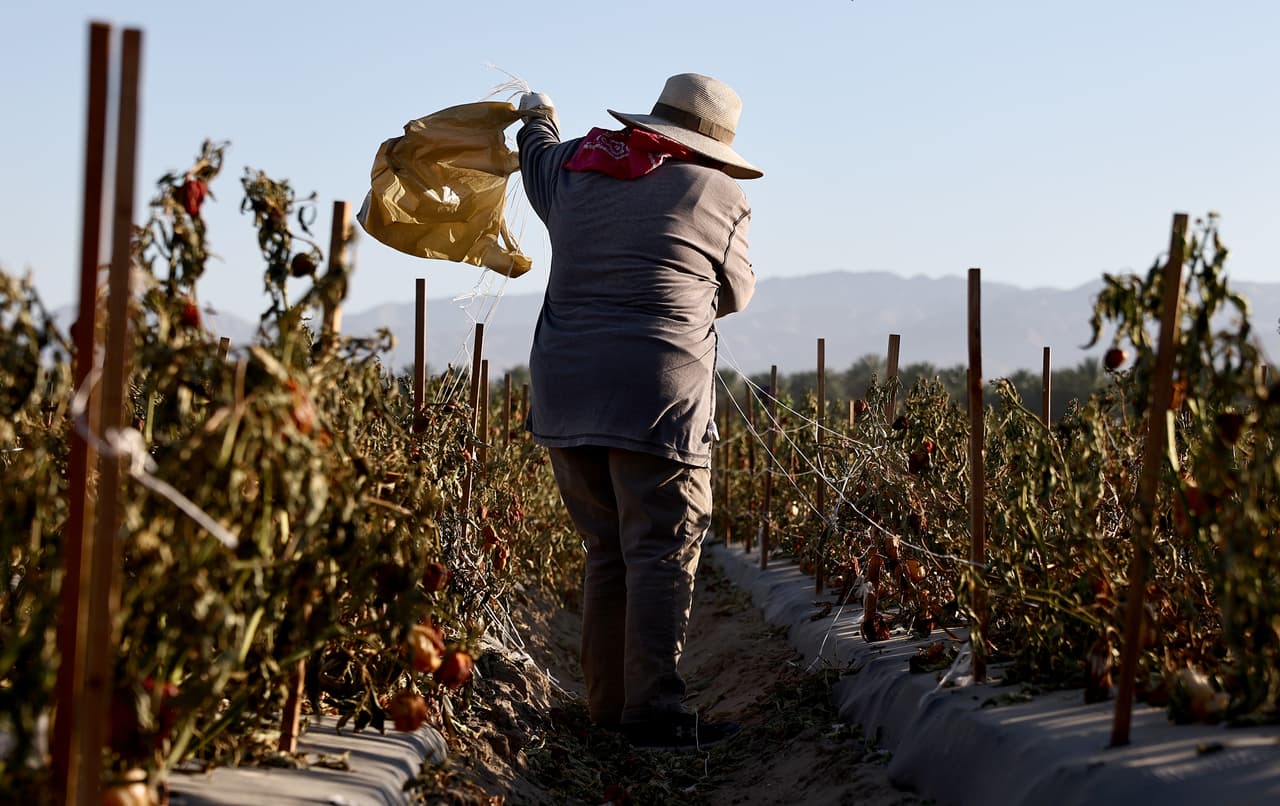 Según un
<b>reporte del Centro de los Derechos del Migrante</b>, el
<b>100% de las personas encuestadas</b> declaró haber sufrido algún tipo de violación a sus derechos laborales.