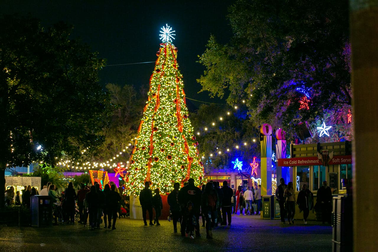 El Festival de luces del Zoológico de Houston está abierta desde el 26 de noviembre y termina el 12 de enero. Los boletos cuestan entre los 18 dólares y 24 dólares, dependiendo del día que quieras asistir. El recorrido se puede hacer entre las 5:30 y las 10 pm, pero la última entrada debe ser a las 9 pm.
<a href="https://www.houstonzoo.org/events/zoo-lights/" target="_blank">Encuentra más información aquí. </a>