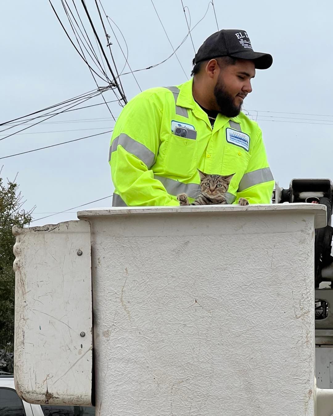 El felino había quedado varado en la línea de comunicación por más de un día. Los equipos de rescate lograron bajar al animal de manera segura y lo entregaron a sus propietarios.