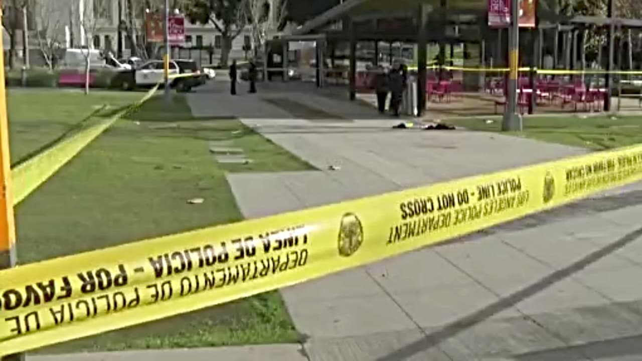 Un adolescente es arrestado por presuntamente apuñalar a manifestante en protestas promigrantes en LA