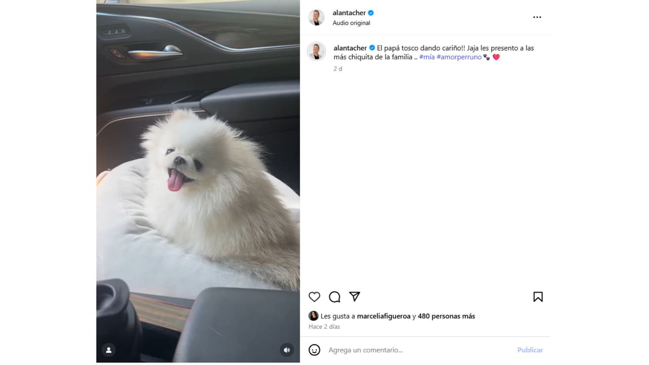 Así presentó Alan Tacher a la nueva integrante de su familia.