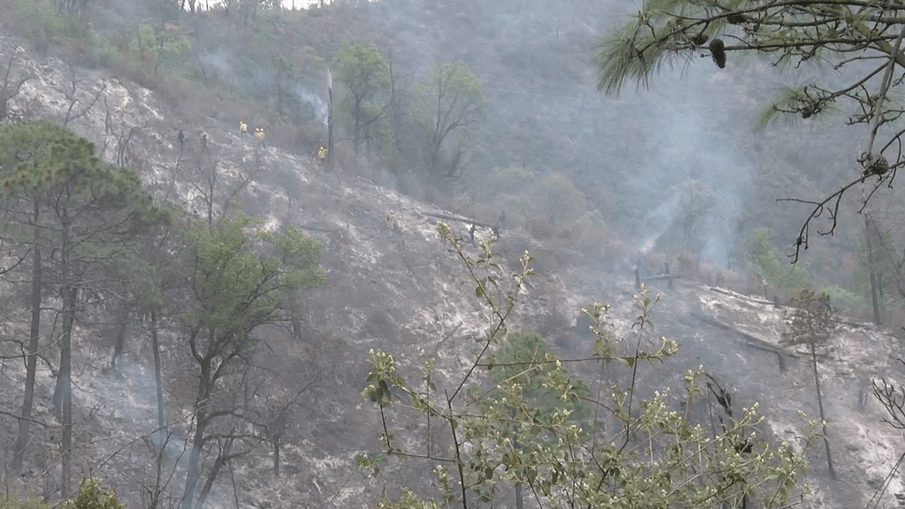 Se desconoce a cuánta velocidad iba este vehículo.
<i>Univision San Antonio</i> está intentando corroborar el dato con autoridades mexicanas.