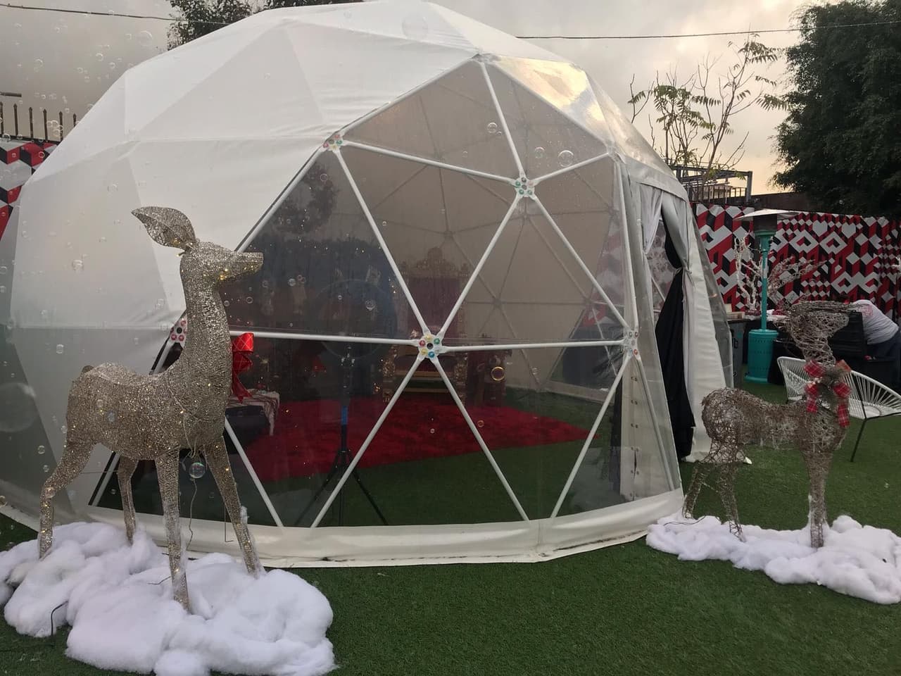 En este lugar puedes explorar diversos espacios llenos de diversión.