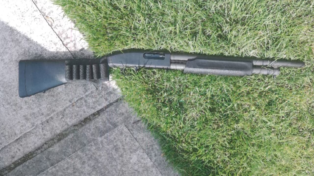 Tras dispararles, Joseph De Lucía
<b>salió a la parte delantera de la casa y se quitó la vida con la misma escopeta que habría comprado de forma legal</b>.
<br>