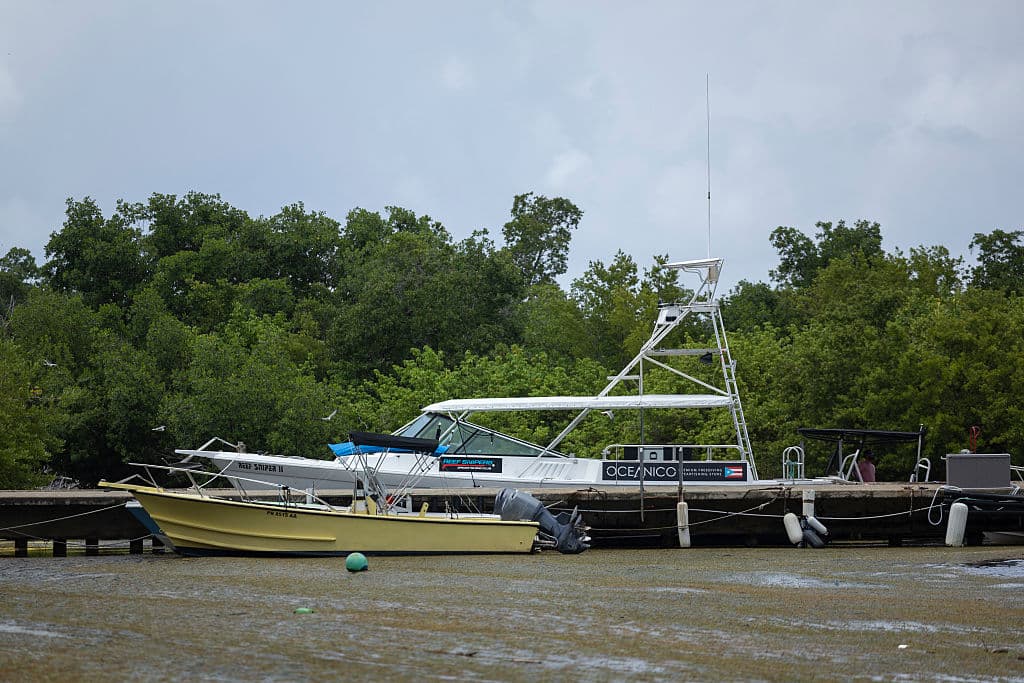 <b>El gas que lo hace insoportable: </b>Al descomponerse en la costa, el sargazo libera gas sulfhídrico, responsable del característico olor a huevo podrido que invade zonas costeras y afecta la calidad de vida local.
<br>