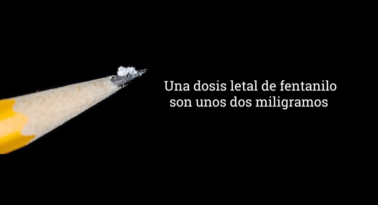 De acuerdo con el jefe de la policía de Kyle, Jeff Barnett, el aumento de distribución de estas píldoras se comenzó a ver a principios de este año. Una dosis letal de fentanilo son unos dos miligramos, del tamaño de unos granos de sal.