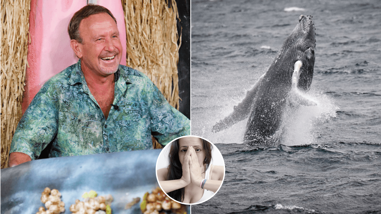 Buzo fue tragado por una ballena de 27 toneladas y sobrevivió gracias a una curiosa razón