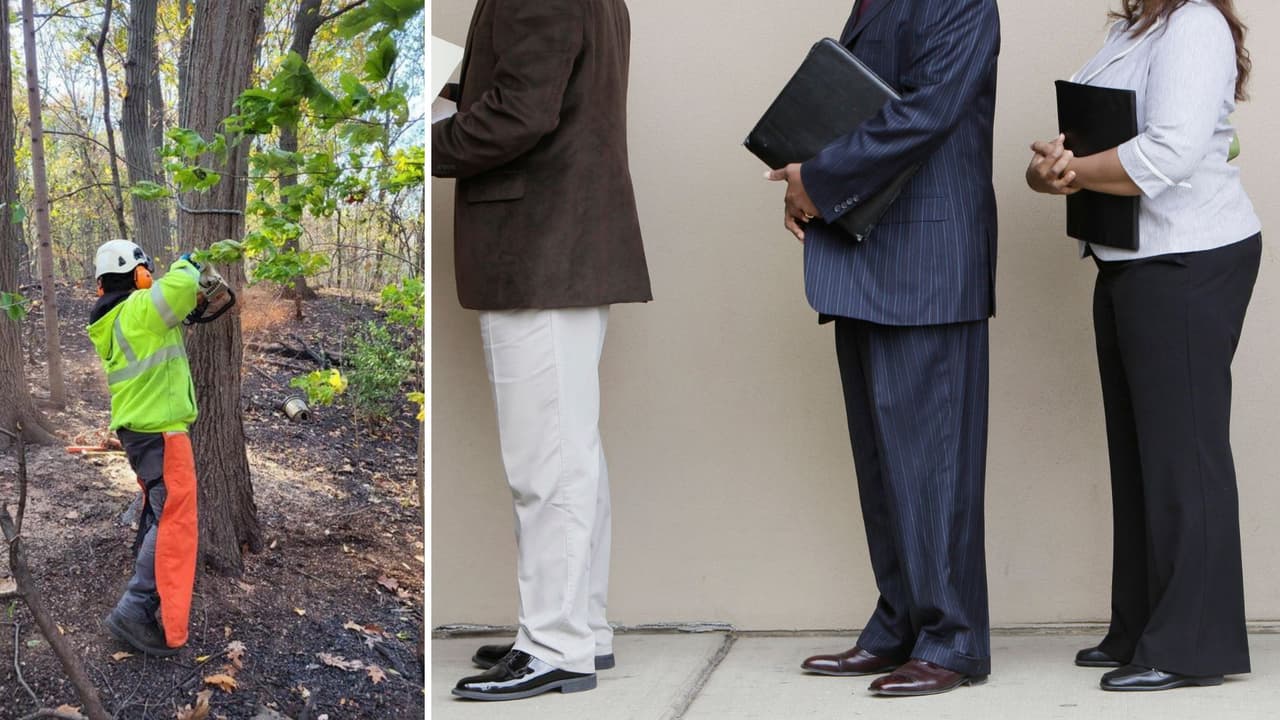 ¿Buscas empleo? Ciudad de Nueva York y MTA tienen abiertas vacantes y ferias de empleo