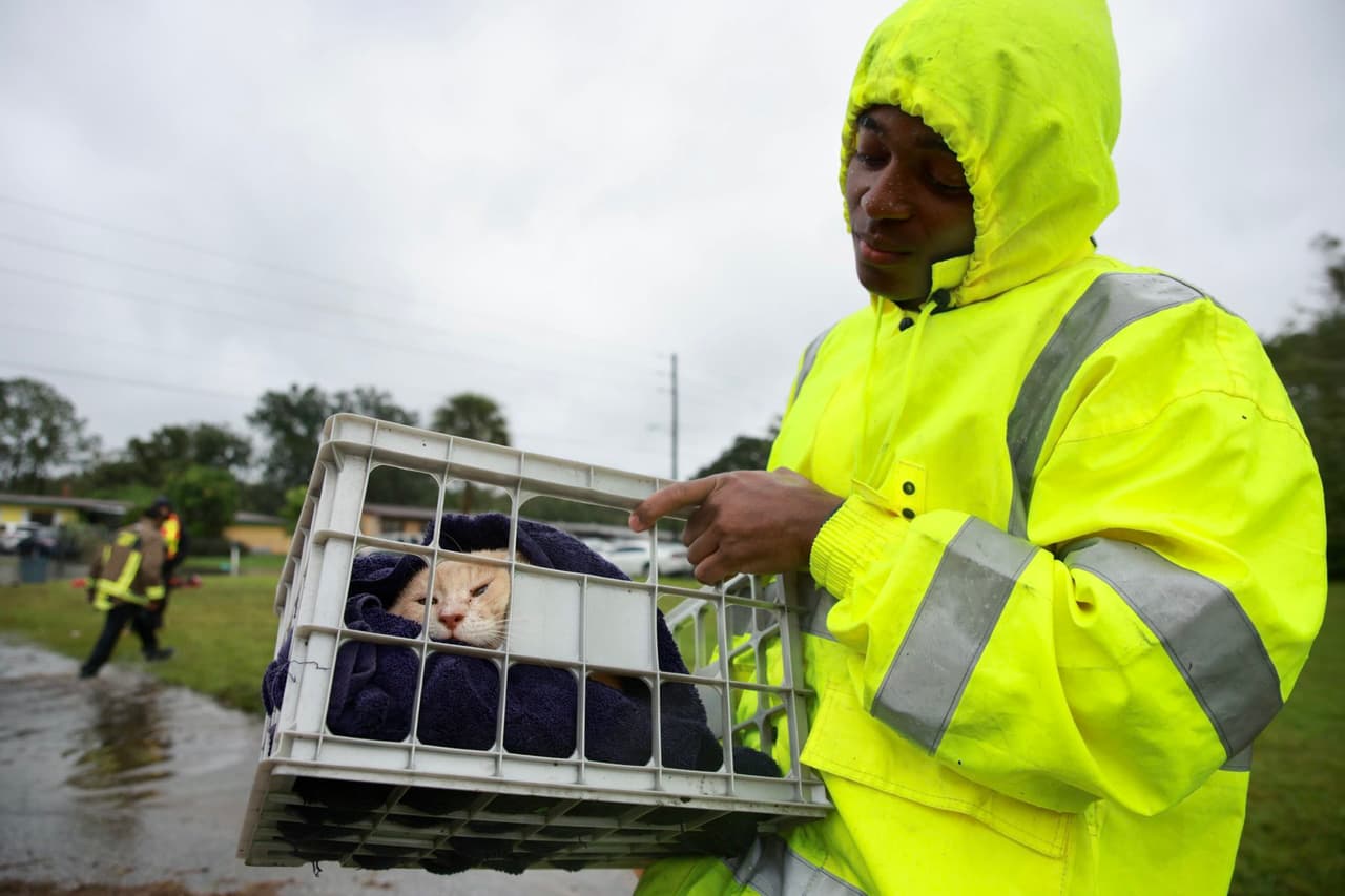 Los rescatistas de la Oficina del Sheriff del Condado de Orange y los Bomberos rescatan un gato de las inundaciones y lo transportan a un lugar seguro.