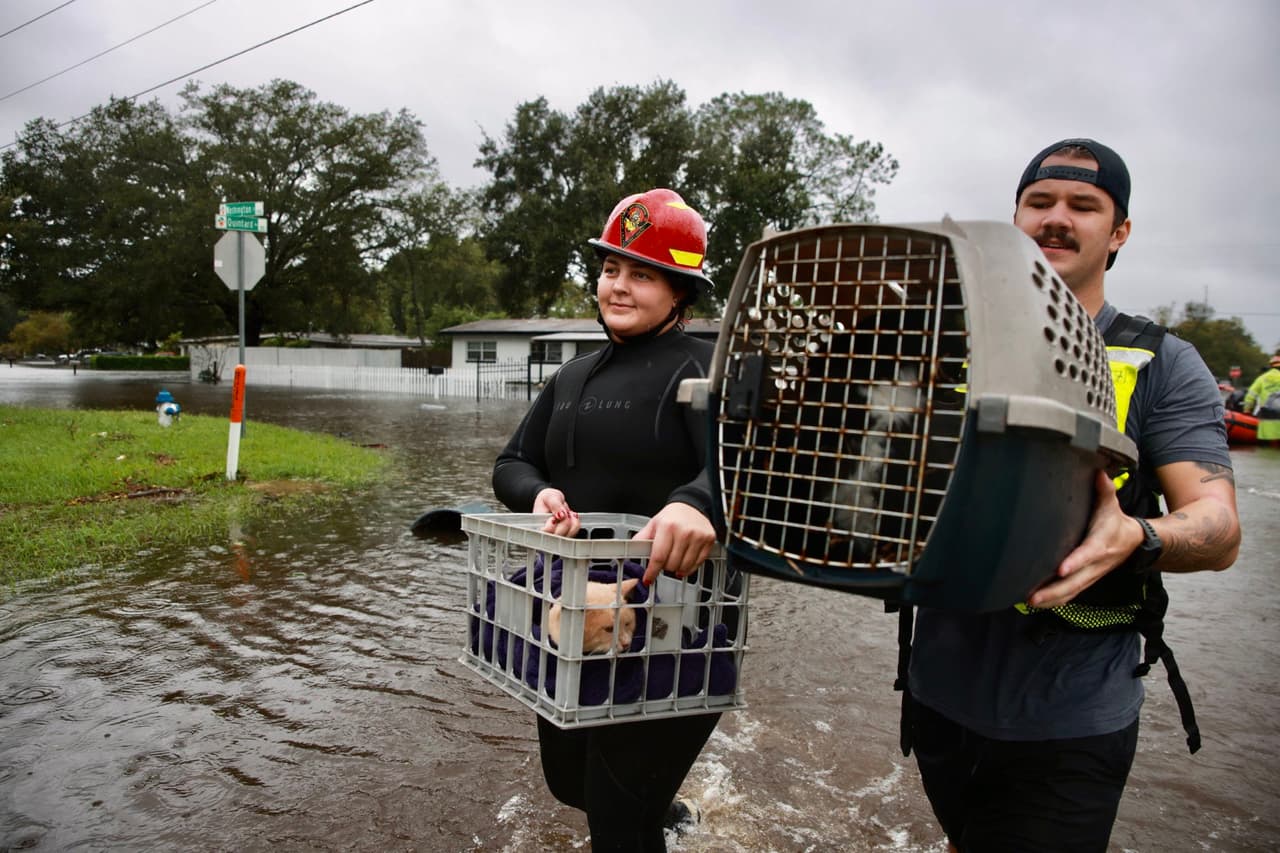 Oficiales de la Oficina del Sheriff del Condado de Orange y los Bomberos rescatan un gato y un perro de las inundaciones y los transportan a lugares seguros.