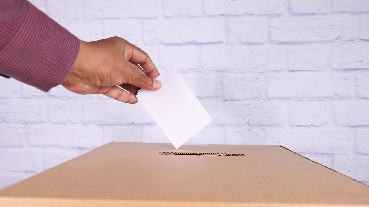 Estos son los candidatos a las elecciones primarias en suburbios de Chicago