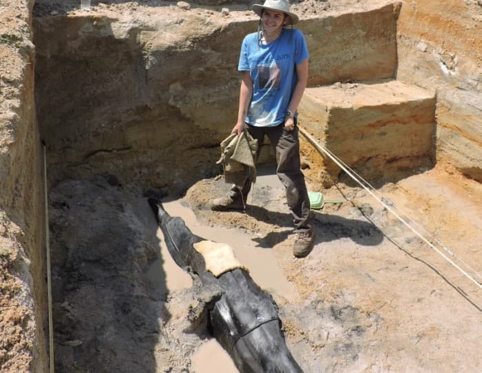 La misteriosa estructura de madera de medio millón de años que cambia la idea de cómo eran los humanos en la Edad de Piedra