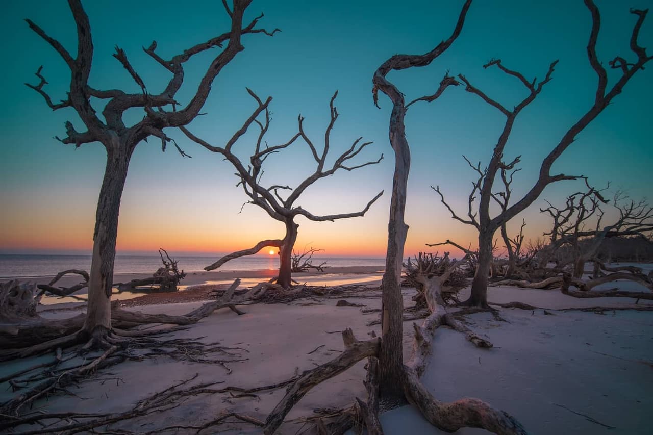<b>Driftwood Beach</b>
<br>Sitio web:
<a href="https://www.jekyllisland.com/activities/beaches/driftwood-beach/">https://www.jekyllisland.com/activities/beaches/driftwood-beach/</a>
<br>
<b><a href="https://goo.gl/maps/P1SBGhntbVVQ9nCh7">Cómo llegar</a> </b>
<br>
<br>Driftwood Beach es un escape a otro mundo. Antiguos monumentos de madera a la deriva se alinean en el paseo marítimo, creando un telón de fondo inolvidable. Esta playa también está considerada entre las mejores del país y del mundo para visitar, según
<b><a href="https://www.tripadvisor.com/TravelersChoice-Beaches">TripAdvisor</a></b>.