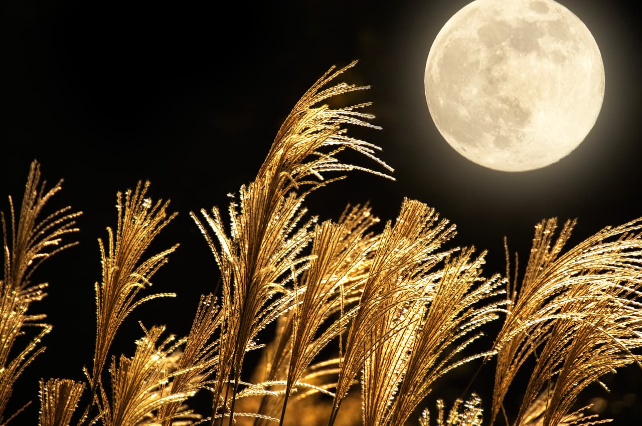 <b>Septiembre: luna de la cosecha</b>
<br>
<b>Signo que la rige: Virgo y Gallo en el horóscopo chino</b>
<br>
<br>Quizás este sea el más popular de todo, es el nombre de la luna más conocido, la cosecha de septiembre hace referencia a la época del año posterior al equinoccio de otoño en la que se recogen los cultivos.
<br>