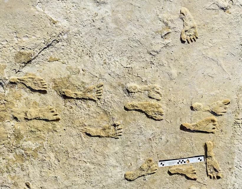 Así es el rastro más antiguo encontrado de humanos en EEUU (y en toda América)